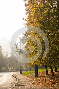 The autumn colors in the park, Turin