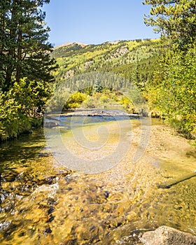 Autumn Colors, Pine Creek, Collegiate Peaks Wilderness, Pike and