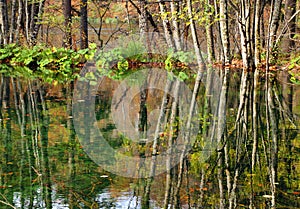 Autumn colors in Plitvice National Park