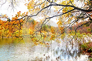 Autumn colors in Plitvice National Park