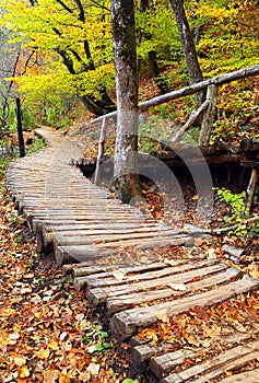 Autumn colors in Plitvice National Park