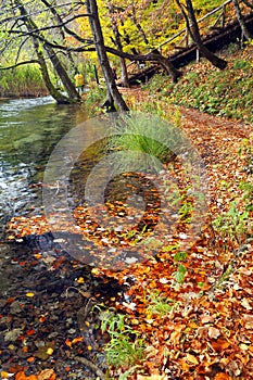 Autumn colors in Plitvice National Park