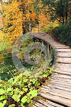Autumn colors in Plitvice National Park