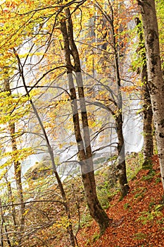 Autumn colors in Plitvice National Park