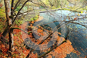 Autumn colors in Plitvice National Park