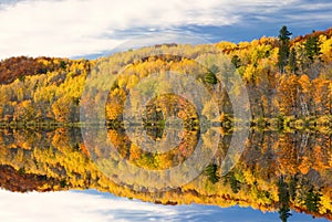 Autumn colors reflected in lake, Minnesota, USA