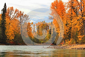 Autumn colors reflected on a salmon spawning stream.