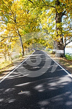 Autumn colors and road under blue sky