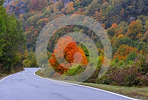 Autumn colors on a road in the valley of Arce, Navarra photo