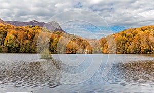 Autumn Colors in Santa Fe Reservoir, Montseny Natural Park