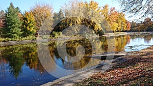 Autumn colors on speed River Grand system yellow green red