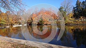 Autumn colors on speed River Grand system yellow green red