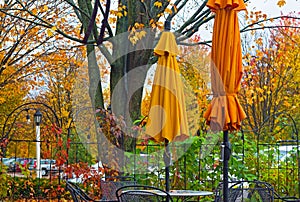 Autumn colors on a street interior in Burlington, Vermont, USA.