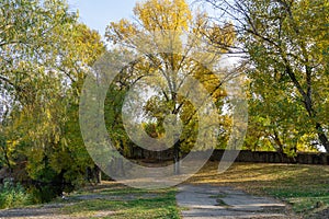 Autumn colors in sunny day in city park. Pathway among stone fence and trees.