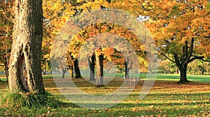 Autumn colors at sunset.