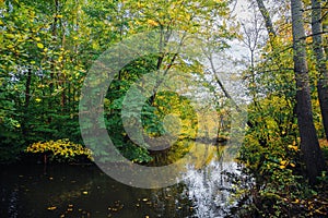 Autumn colors on the trees near a river