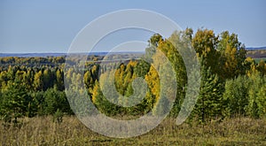 Autumn colors of the Ural forest and agricultural fields. Dry and warm autumn in the foothills of the Western Urals.