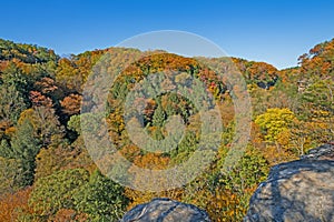 Autumn Colors Viewed From a Rocky Outcrop