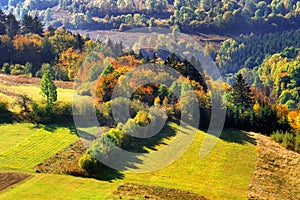 Autumn coloured country near Stara Huta