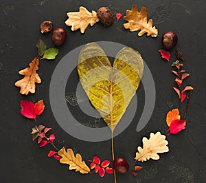 Autumn colourful leaves frame on dark background