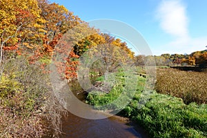 Autumn Colours along Grindstone Creek, Ontario