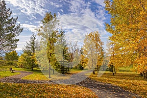 Autumn Colours In A Cochrane Park