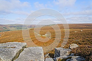 Autumn colours cover Hathersage Moor on a misty morning