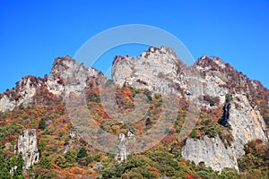 Autumn colours of crag