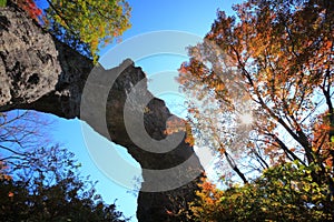 Autumn colours of crag