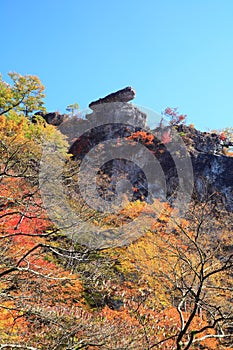 Autumn colours of crag