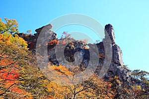 Autumn colours of crag