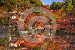 Autumn colours at Daigo-ji Temple in Kyoto, Japan