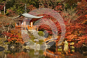 Autumn colours at Daigo-ji Temple in Kyoto, Japan