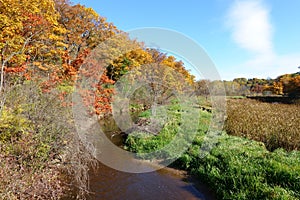 Autumn Colours along Grindstone Creek, Ontario photo