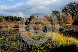 Autumn colours in formal garden