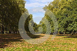 Autumn colours in Hyde Park, London, UK