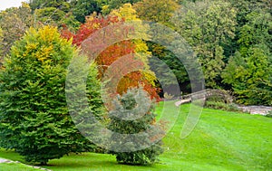 Autumn colours in Ilam Park, Dovedale