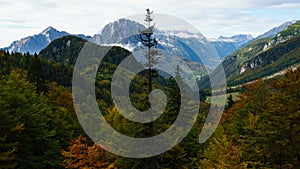 Autumn colours in the Julian Alps from Mangart panorma road in Slovenia