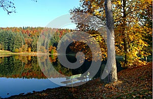 Autumn colours on a lake