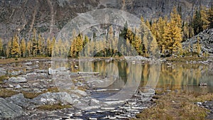 Autumn colours at Lake Oâ€™Hara, Yoho national Park, Canadian Rockies