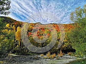 Autumn colours landscape image with cloudy sky