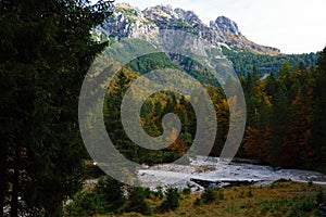 Autumn colours at Mangartski river on Mangart panorma road in Slovenia