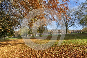 Autumn Colours at Meersbrook Park