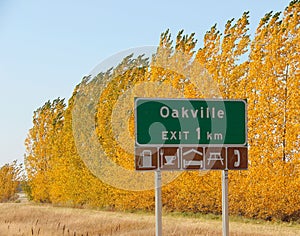 Autumn colours near Oakville, Manitoba