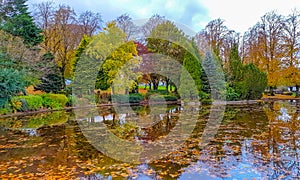 Autumn Colours in The Park