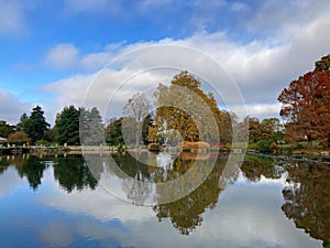 Autumn colours reflected in the still waters of a boating lake at Kew Gardens, near London