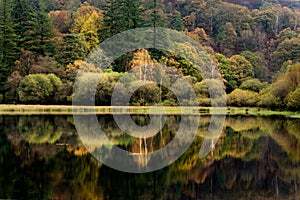 Autumn Colours and Reflections at Yew Tree Tarn in the English Lake District National Park