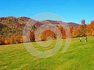 Autumn colours in Romania