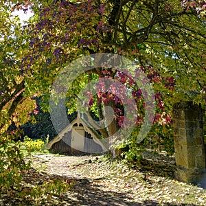 Autumn colours and sunshine on the Old Castle in the grounds of Scotney, East Sussex, UK photo