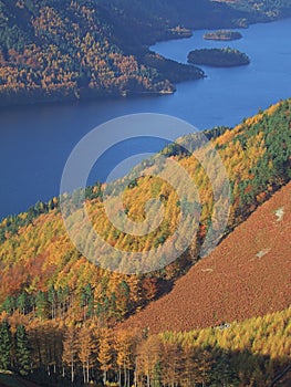 Autumn Colours by Thirlmere